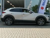 Afbeelding 2
