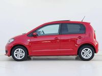 Occasion Skoda Citigo Ambition 60 PK (44 kW) 2019 Rood Hatchback