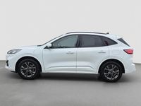 Occasion Ford Kuga ST-Line 2021 Wit SUV