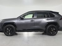 Occasion Toyota RAV4 Hybrid 2024 Grijs SUV