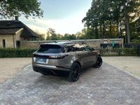 tweedehands Land Rover Range Rover Velar D240 SE 2.0 241pk AWD | AUT | 2017 | diesel | ZGAN