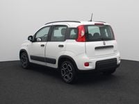Occasion Fiat Panda City Life 69 PK (50 kW) 2022 Wit Hatchback