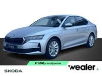 Afbeelding 1
