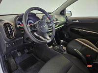 Occasion Kia Picanto Comfort 67 PK (49 kW) 2022 Wit Hatchback