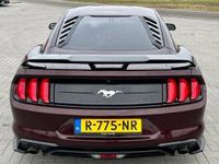 tweedehands Ford Mustang GT500 SHELBY EDITION 2018 2.3 ecoboost