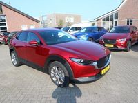 Afbeelding 3