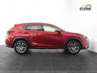 tweedehands Lexus NX300h AWD Sport Edition | Trekhaak Afneembaar | Schuif-/