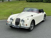 Occasion Jaguar XK 213 PK (156 kW) 1958