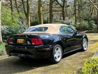 tweedehands Ford Mustang 3.8 V6 Convertible