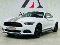 tweedehands Ford Mustang Fastback 2.3 EcoBoost/Performance Pack(Bij 2016)