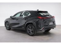 tweedehands Lexus UX 2.0 HSD Business Line Plus 2.0 HSD