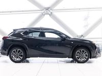 tweedehands Lexus UX 250h F Sport Line | F-Sport | Schuifkanteldak | 10 Jaar Garantie | Uitvoorraad Leverbaar |