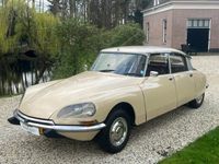 tweedehands Citroën DS D SPECIAL CONFORT 1975 #BEAUTY