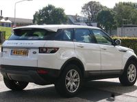 tweedehands Land Rover Range Rover evoque 2.2 TD4 150pk 4WD Pure