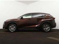 tweedehands Lexus NX300h AWD Luxury Line