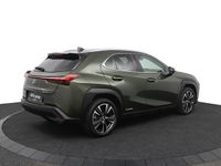 Occasion Lexus UX 250h Business Edition 184 PK (135 kW) 2021 Groen SUV