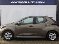 Afbeelding 3