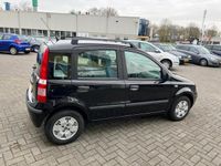 tweedehands Fiat Panda 1.2 Active! Nw Apk! 2e paasdag open !