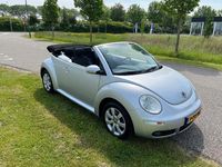 Occasion VW New Beetle Cabriolet Trendline 116 PK (85 kW) 2007 Cabriolet Cabriolet