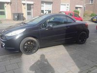 Afbeelding 1
