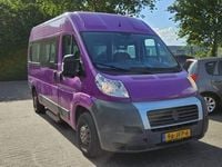 Afbeelding 3