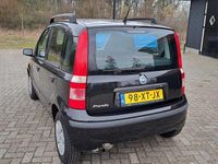 Occasion Fiat Panda 59 PK (43 kW) 2007 Hatchback