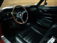 tweedehands Ford Mustang Fastback | 351 CUI Windsor V8 motor | 1966