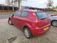 tweedehands Fiat Grande Punto -1.2 Actual