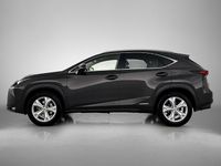 Occasion Lexus NX300h President Line 197 PK (144 kW) 2015 Bruin SUV
