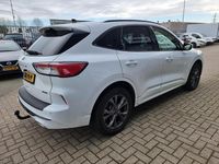 Occasion Ford Kuga ST-Line 2024 Wit SUV