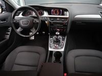 tweedehands Audi A4 Avant 1.8 TFSI 170 pk Business Edition / Bi-Xenon / NL Auto