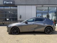 Afbeelding 3