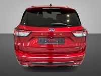 Occasion Ford Kuga ST-Line X 2026 Rood SUV