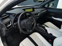 Occasion Lexus UX 250h Sport Line 184 PK (135 kW) 2019 Wit SUV