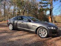 tweedehands Jaguar XF 2.0d Premium-Pack Prestige|Dealer onderhouden|FULL