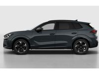 Nieuw Cupra Terramar 2025 Fiord blue SUV