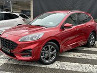 Occasion Ford Kuga ST-Line X 2023 Rood SUV
