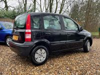 tweedehands Fiat Panda 1.1 Active | 2e eig | Nieuwe APK!