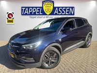 Occasion Opel Grandland X Comfort 131 PK (96 kW) 2019 Blauw, metallic lak SUV