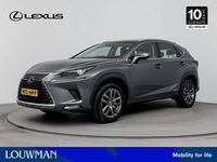 Occasion Lexus NX300h Business Edition 197 PK (144 kW) 2020 Grijs SUV