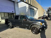 tweedehands Ford F-150 FX4 G3 GAS! MARGE (GEEN BTW)! INRUIL MOGELIJK!