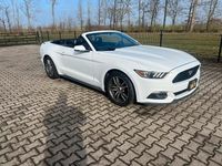 Occasion Ford Mustang 330 PK (242 kW) 2015 Cabriolet