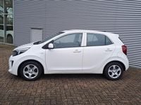 Occasion Kia Picanto Comfort 67 PK (49 kW) 2020 Wit Hatchback