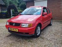 Afbeelding 2