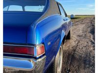 Occasion AMC Javelin 1971 Wit