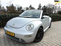 Occasion VW New Beetle Cabriolet Highline 2003 Grijs Cabriolet