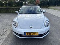Occasion VW Beetle Cabriolet Cup 105 PK (77 kW) 2015 Wit Cabriolet