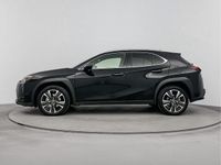 Occasion Lexus UX 250h Business Edition 184 PK (135 kW) 2023 Zwart SUV