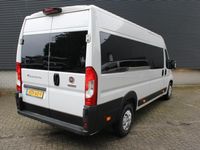 Afbeelding 3