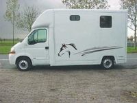 tweedehands Renault Master 2-PAARDS PAARDENAUTO